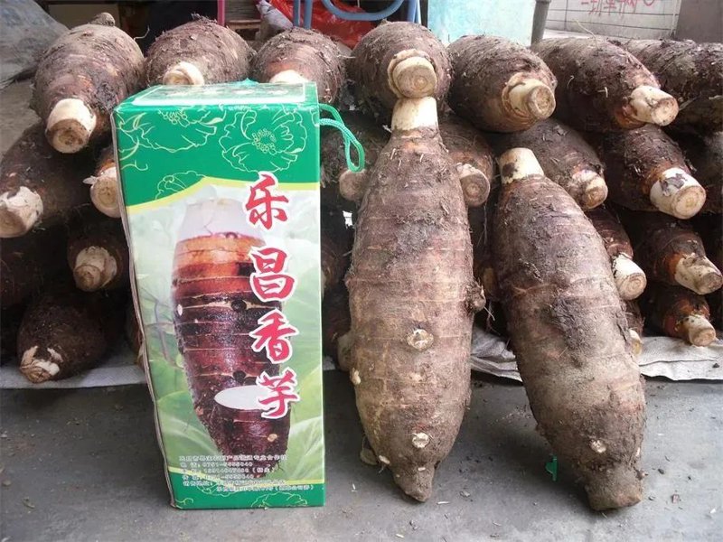 文化创意:以设计之光点亮城市魅力